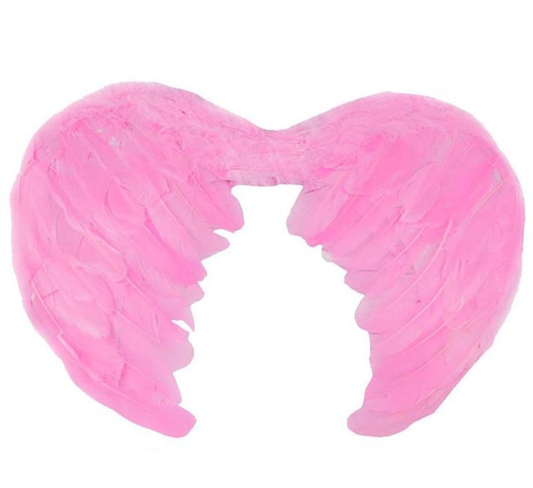 Pembe Renk Melek Kanadı